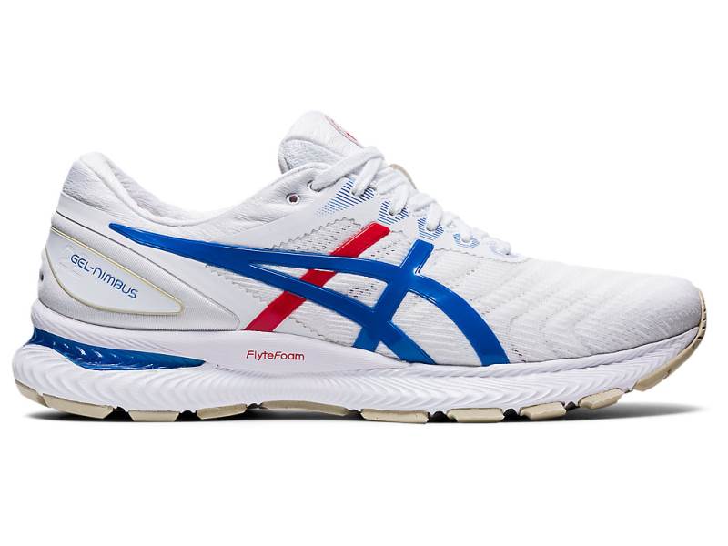 Pánské Běžecké Boty Asics GEL-NIMBUS 22 Bílé 71260GIYP